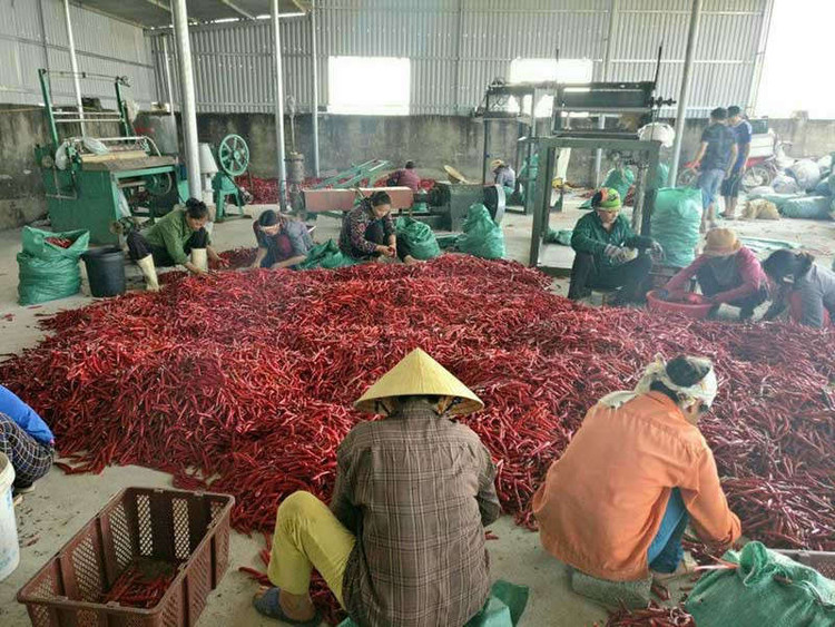 Trung Quốc siết tiểu ngạch, hàng Việt tuột dốc - ảnh 1