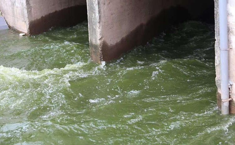 Chỉ trong vòng hai ngày 9 và 10/7, Công ty Thoát nước Hà Nội đã xả hơn 1 triệu m3 nước từ Hồ Tây ra sông Tô Lịch.