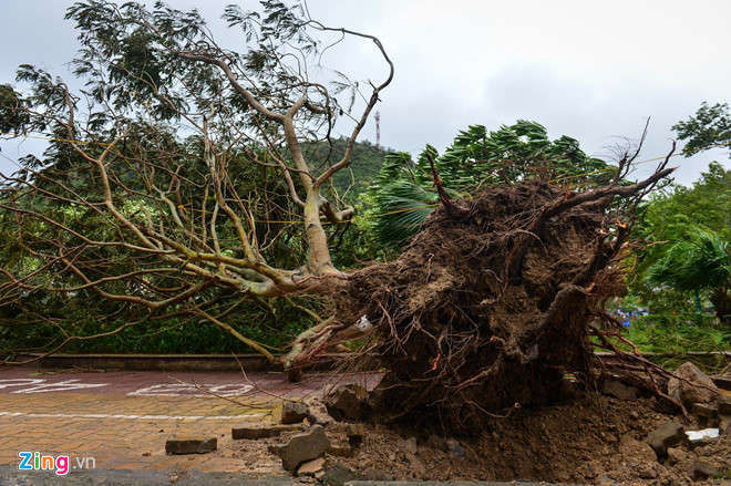 Bao so 2 do bo, mien Bac mua lon hinh anh 2 