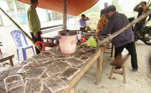 Người dân mang theo ruồi nhặng để phản đối về tình trạng ô nhiễm nghiêm trọng mà nhà máy gây ra.