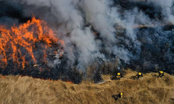 Buon vi vo khong cung ve hop lop, chong dot 13 canh rung hinh anh 1 