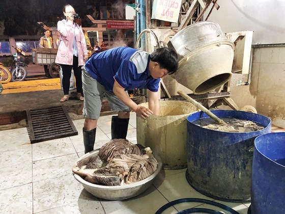 Kiểm tra đột xuất cơ sở kinh doanh phụ phẩm bò.