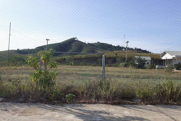 Trại bò nghìn tỷ liên quan ông Trần Bắc Hà giờ thành vườn chuối - Ảnh 6.