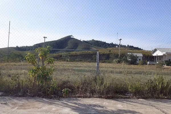 Trại bò nghìn tỷ liên quan ông Trần Bắc Hà giờ thành vườn chuối - Ảnh 6.