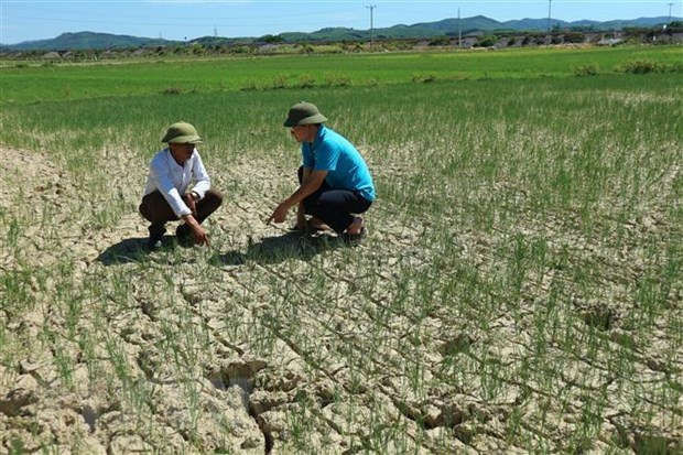 Bac Bo va Trung Bo nang nong dien rong, co noi tren 38 do C hinh anh 1