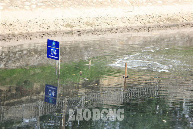 Nước sông Tô Lịch đen trở lại, xuất hiện cá chết trắng nổi lềnh bềnh - Ảnh 9.