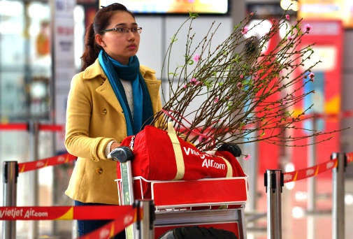 Hang khong dua mo dich vu van chuyen dao, mai Tet 2020 hinh anh 1 1_(4).jpg