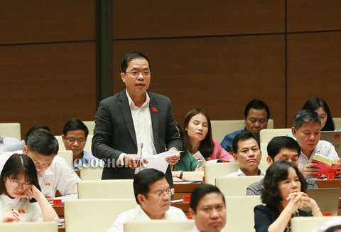 Dai bieu Quoc hoi: Phai dinh chi chuc vu bo me co con duoc nang diem hinh anh 1 