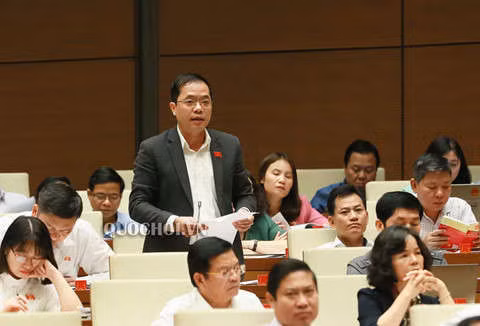 Dai bieu Quoc hoi: Phai dinh chi chuc vu bo me co con duoc nang diem hinh anh 1 