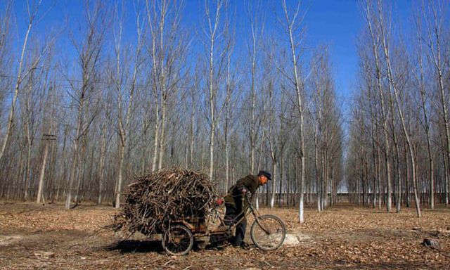 Báo Trung Quốc đòi Anh chịu trách nhiệm vụ 39 người chết trong xe tải - 2