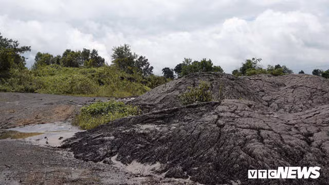 Hàng chục tấn bùn thải Nhà máy Alumin Nhân Cơ đổ trái phép ở Đắk Nông - Ảnh 1.