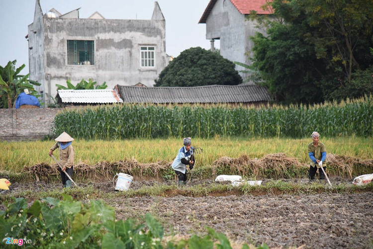 Biet phu, trang trai duoc su Toan xay dung ben canh chua Nga Hoang hinh anh 13 