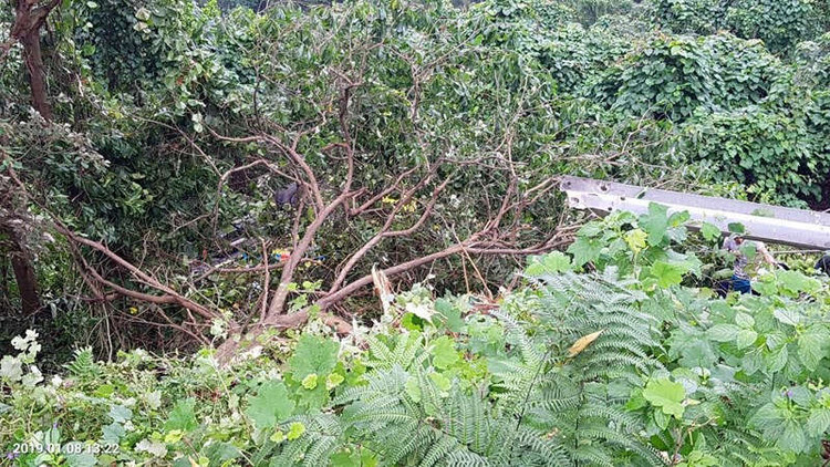 Xe khách rơi trên đèo Hải Vân, 21 sinh viên bị nạn - ảnh 4