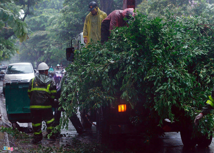 Cay do hang loat o Ha Noi, Hai Phong sau bao Wipha hinh anh 7 