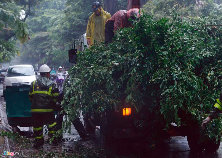 Cay do hang loat o Ha Noi, Hai Phong sau bao Wipha hinh anh 7 