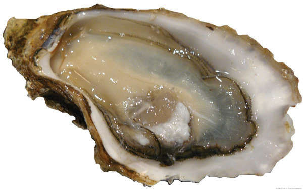 10 loại thực phẩm tốt nhất cho cuộc sống tình dục