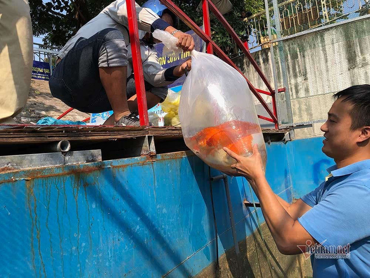 Cảnh dỡ 'bảo bối' Nhật làm sạch sông Tô Lịch, rút cá koi về hồ Tây