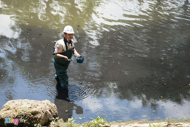 Chuyen gia Nhat cong bo ket qua lam sach song To Lich hinh anh 1 