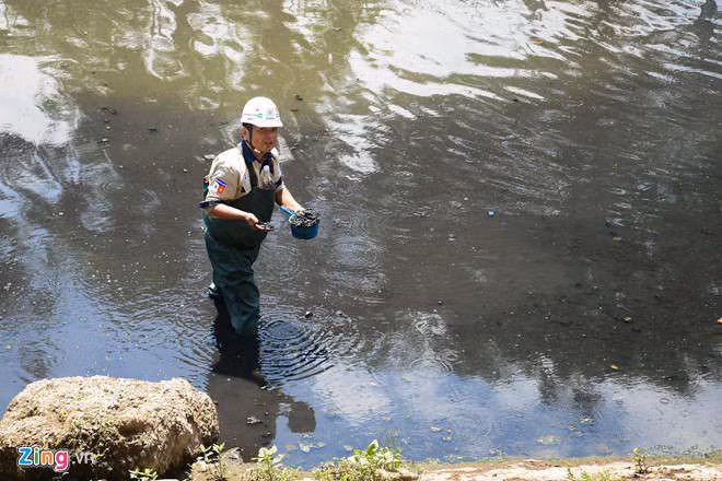 Chuyen gia Nhat cong bo ket qua lam sach song To Lich hinh anh 1 