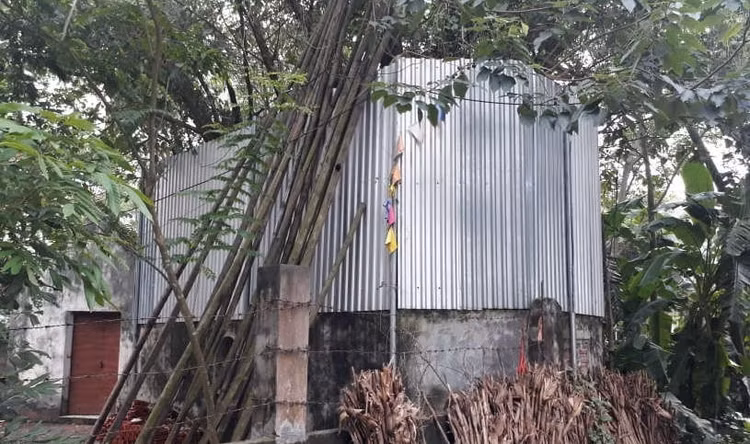 Cả làng quây tôn, dựng chốt bảo vệ cây sưa có giá 22 tỷ