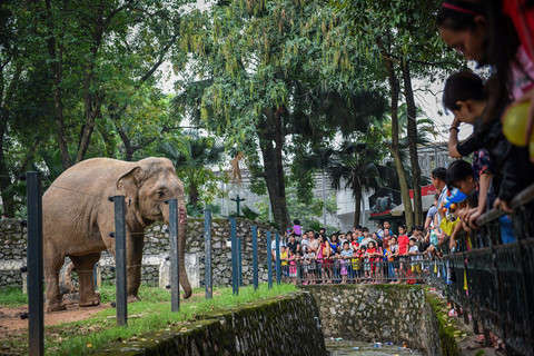 Nhung cong vien o Ha Noi bi 'xen dat' lam nha hang, quan ca phe hinh anh 9 