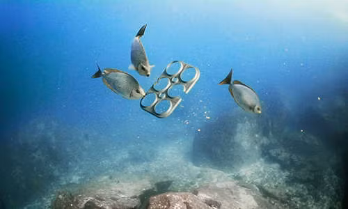 Rác thải nhựa tác động đến cả sinh vật biển sống ở nơi sâu nhất trên Trái Đất. Ảnh:&nbsp;Organic and Free.