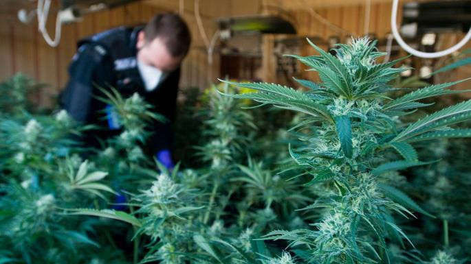 Lam dung tinh duc va nhung ac mong tren duong toi Anh cua di dan Viet hinh anh 11 