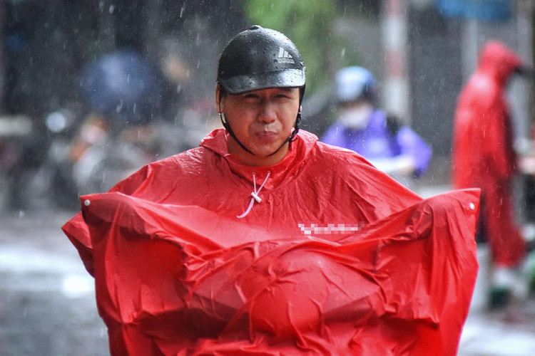 Cay do hang loat o Ha Noi, Hai Phong sau bao Wipha hinh anh 9 