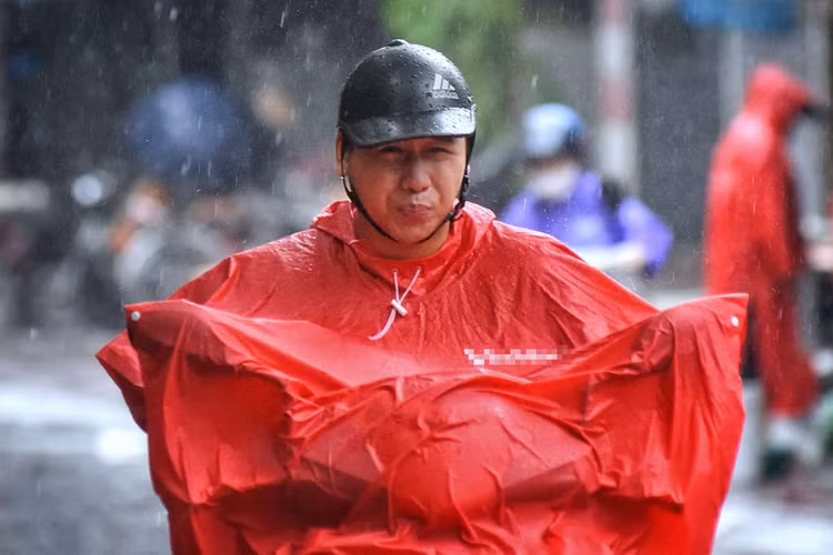 Cay do hang loat o Ha Noi, Hai Phong sau bao Wipha hinh anh 9 