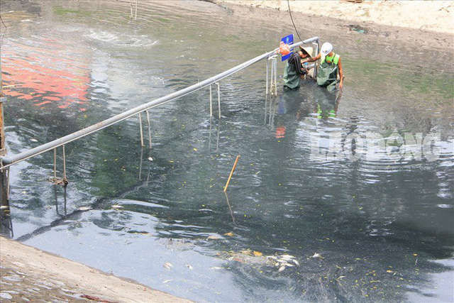 Nước sông Tô Lịch đen trở lại, xuất hiện cá chết trắng nổi lềnh bềnh - Ảnh 10.