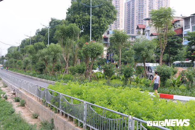 Ảnh: Đường Láng thay đổi bất ngờ, dân Thủ đô cứ ngỡ đang lạc vào đường phố Singapore - Ảnh 3.