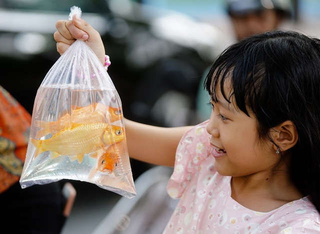 Hà Nội: Cá chép đi cầu trượt lên chầu Trời - 12