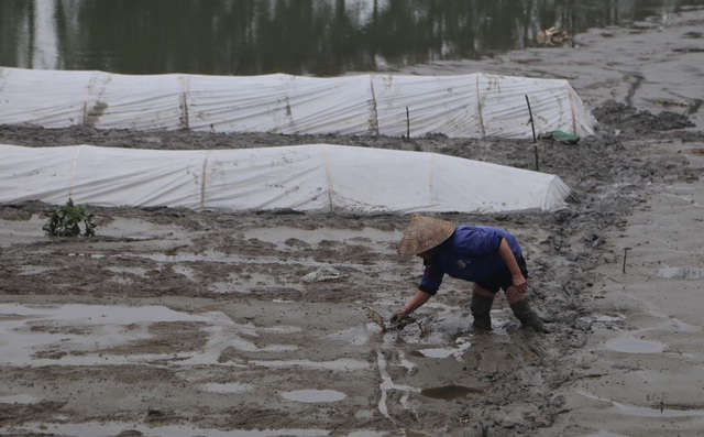 10 ngày sau vụ Đồng Tâm, cuộc sống thôn Hoành bây giờ ra sao? - 10