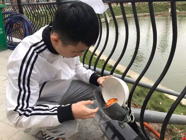 Hà Nội: Cá chép đi cầu trượt lên chầu Trời - 9