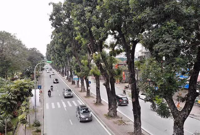 Ảnh: Đường Láng thay đổi bất ngờ, dân Thủ đô cứ ngỡ đang lạc vào đường phố Singapore - Ảnh 1.