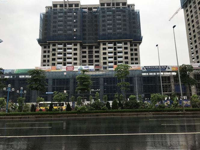 Nhiều 'ông lớn' Nhà nước sử dụng lãng phí hàng nghìn hécta đất công - ảnh 2