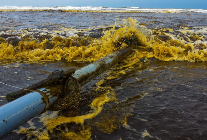 Xac dinh thu pham khien nuoc bien doi mau ca phe o Quang Ngai hinh anh 1 Anh_1_cho_tin_dam_go.jpg