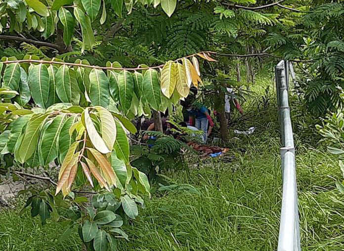 phat hien thi the nguoi dan ong phan huy ben duong ra san bay noi bai hinh 2