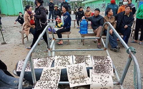 Môi trường sống xung quanh nhà máy rác Phú Hà bị ô nhiễm khá nặng nề.