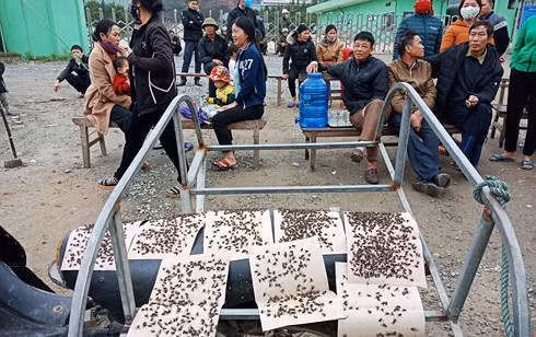 Môi trường sống xung quanh nhà máy rác Phú Hà bị ô nhiễm khá nặng nề.