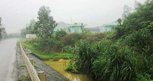 Hiện tượng cá chết bất thường ngay tại kênh nước đi qua nhà máy xử lí rác thải Phú Hà.