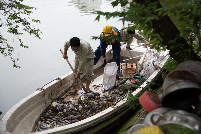 Ca chet hang loat o ho Van Chuong hinh anh 2 