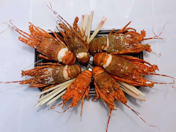 Tôm hùm 28.000 đồng/con, có nên mua về sử dụng?