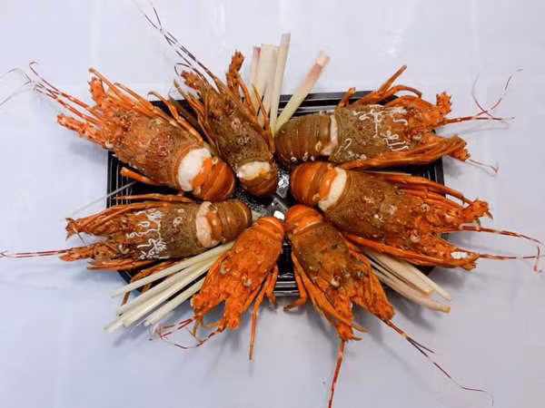 Tôm hùm 28.000 đồng/con, có nên mua về sử dụng?