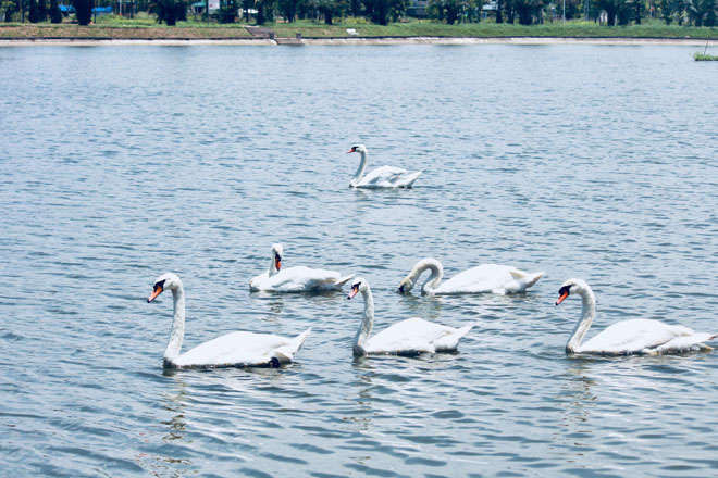xuat hien 2 dan thien nga tung tang kiem an o ho ngoai thanh ha noi hinh anh 1
