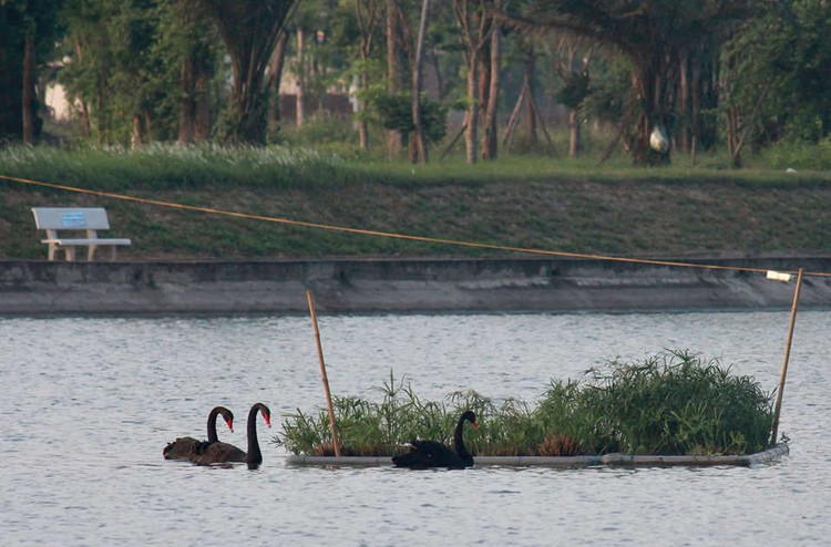 xuat hien 2 dan thien nga tung tang kiem an o ho ngoai thanh ha noi hinh anh 2