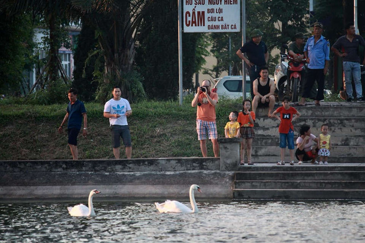 xuat hien 2 dan thien nga tung tang kiem an o ho ngoai thanh ha noi hinh anh 4