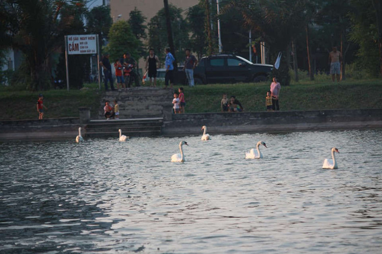 xuat hien 2 dan thien nga tung tang kiem an o ho ngoai thanh ha noi hinh anh 3