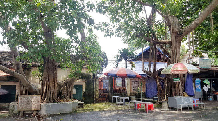 Nhà giáo 86 tuổi tiết lộ 2 nguyên tắc vàng dạy con thành tiến sĩ