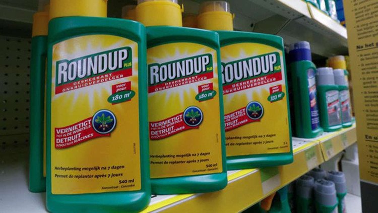 Thuốc diệt cỏ Roundup của Monsanto.